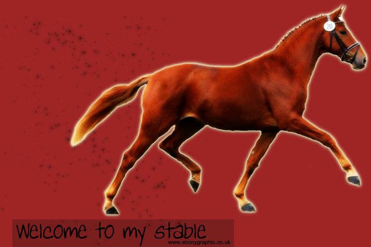 warmblood.jpg